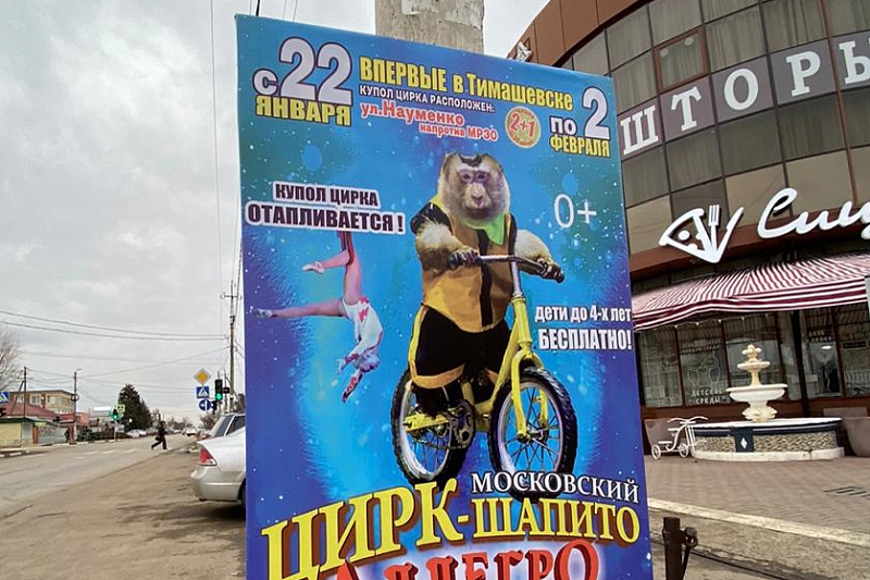 Зоозащитники из Краснодарского края требуют искоренить передвижные цирки с участием зверей 