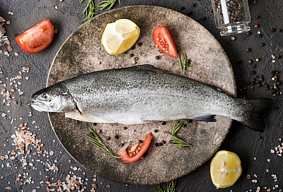 Белоруссия стала ведущим поставщиком рыбы на российский рынок в 2025 году