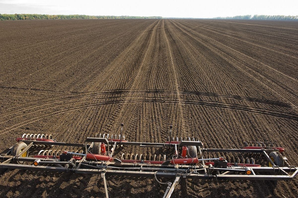 Кубанские ученые сопровождают осеннюю посевную кампанию в Краснодарском крае