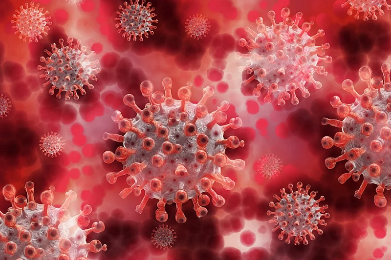 Гинцбург рассказал о «злом» индийском штамме коронавируса