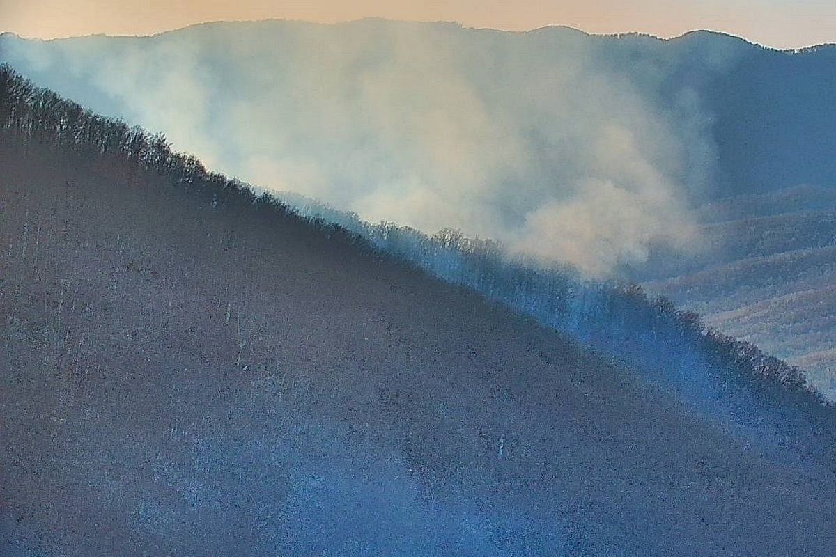 В Туапсинском округе горит лес