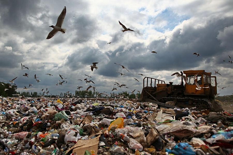 В Краснодаре после крупного мусорного скандала отстранили от работы чиновников 
