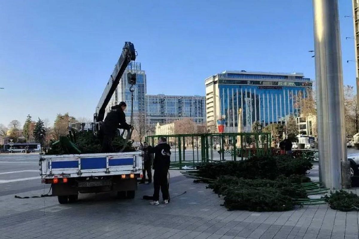 В Краснодаре на Главной городской площади начали устанавливать новогоднюю елку