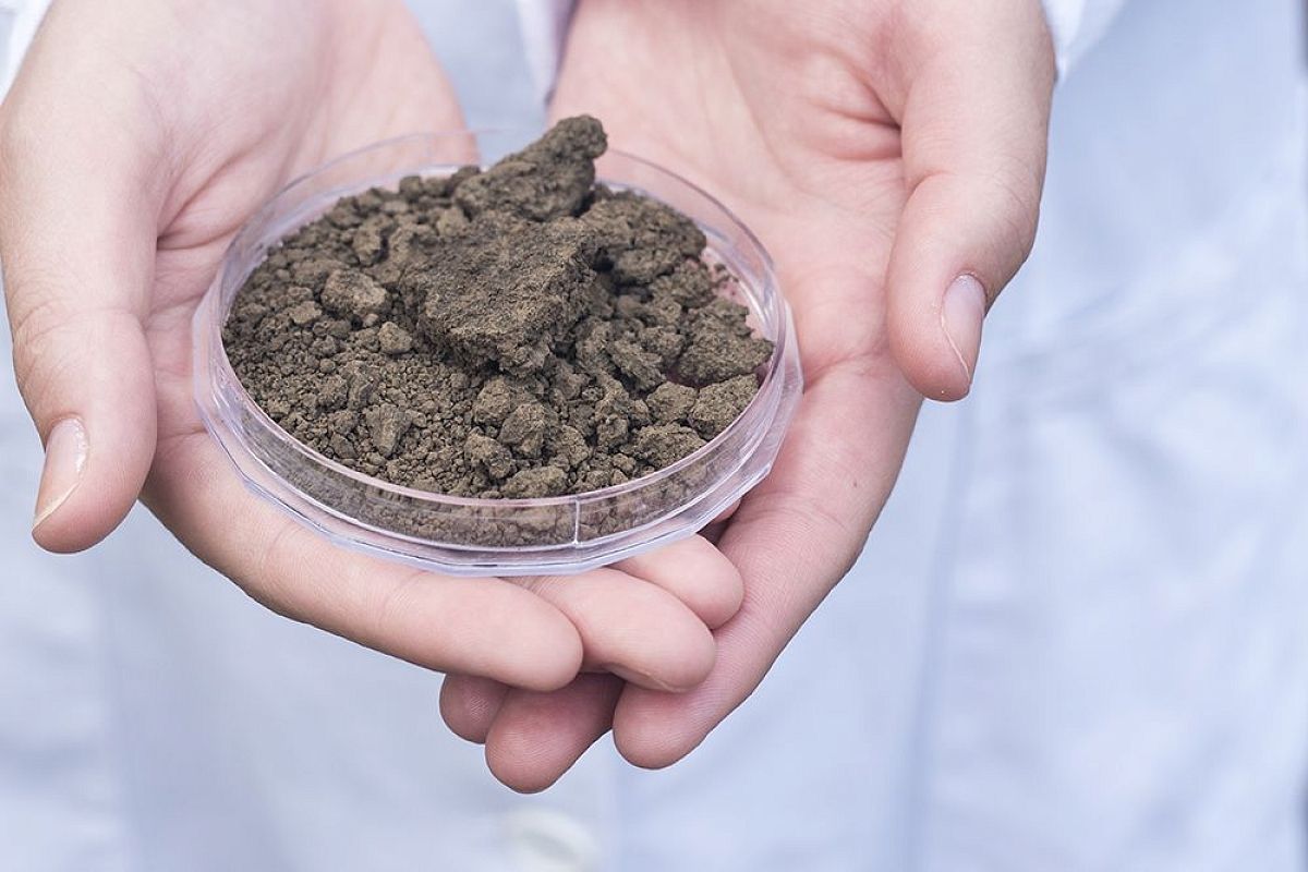 Ты помни её немножко: как определить состав почвы в домашних условиях – ещё советский лайфхак