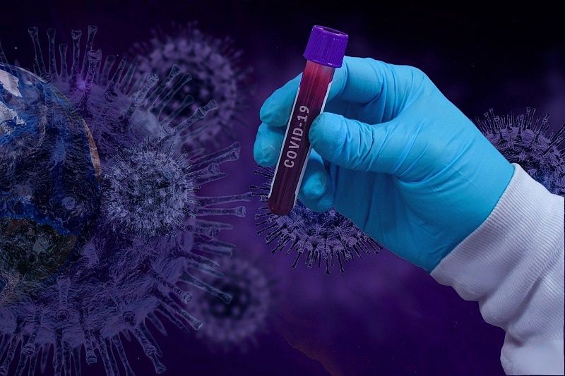 Ученые рассказали, сколько сохраняется иммунитет у переболевших COVID-19
