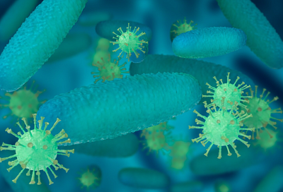 Ученые призвали отказаться от бактерицидов в быту ради сдерживания супербактерий