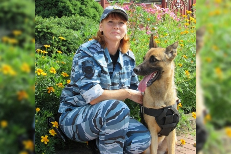 Служебный пес помог раскрыть кражу в Краснодарском крае
