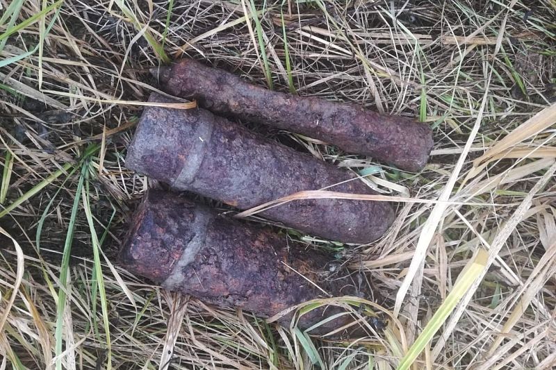 В Краснодарском крае росгвардейцы уничтожили боеприпасы времен Великой Отечественной войны