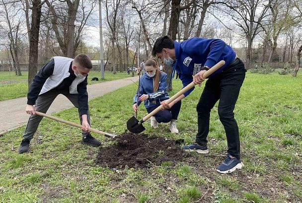 Кубань присоединилась к акции «Единой России» по сбору семян и саженцев на Донбасс