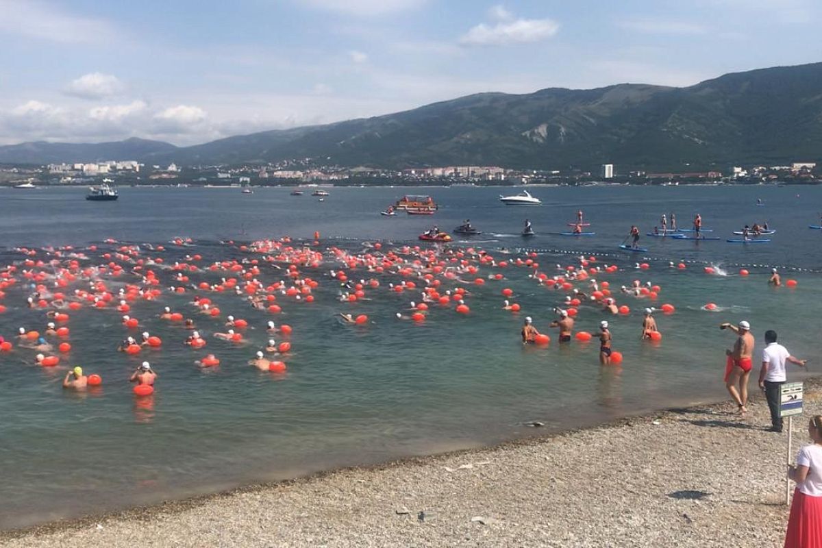 В Геленджике стартовал массовый заплыв «Морская миля» (видео)