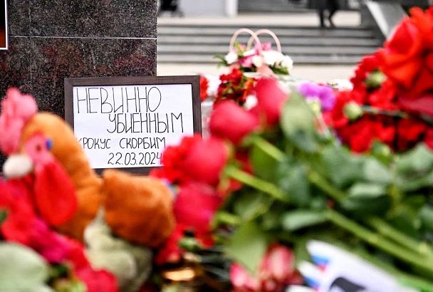 Краснодар скорбит по жертвам теракта в Подмосковье: горожане несут цветы к стихийному мемориалу