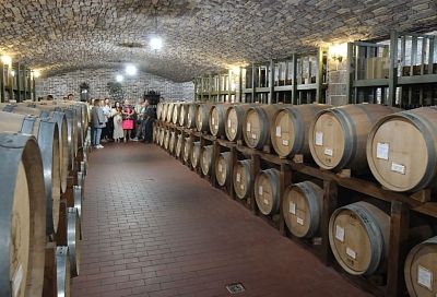 Лидерами винного туризма на Кубани стали Анапа и Геленджик 