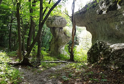 Чудеса Отрадненского района – из головы великана в средневековом Ильиче пророс каменный гриб
