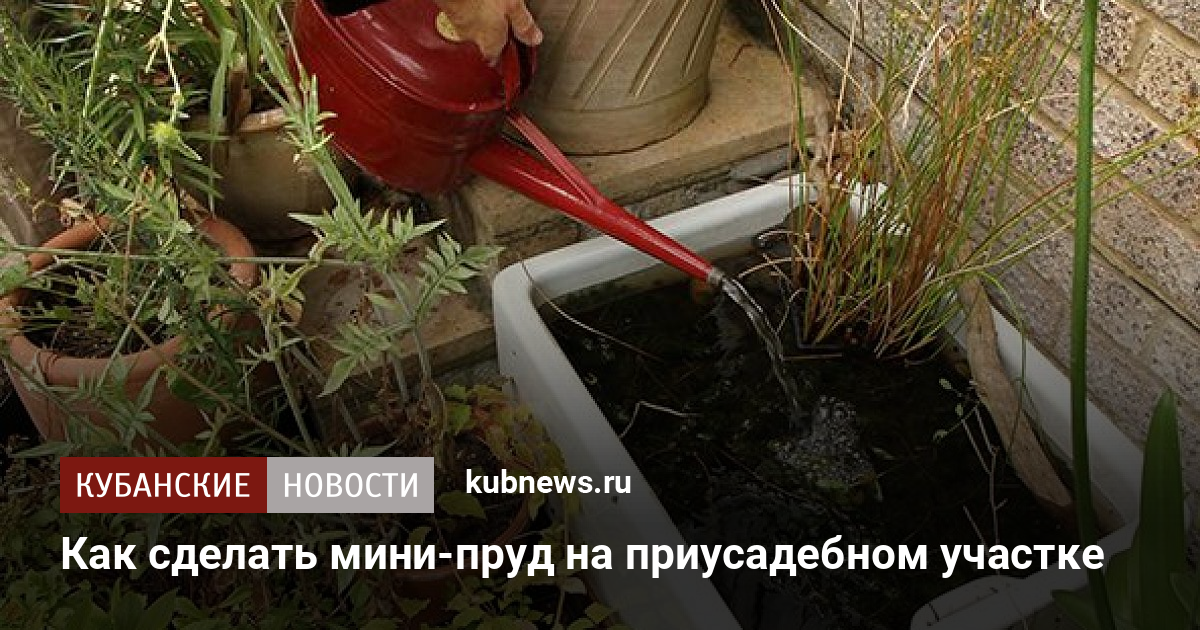 Как сделать из раковины водоем