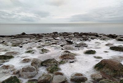 До +1 градуса остыло Азовское море у берегов Краснодарского края
