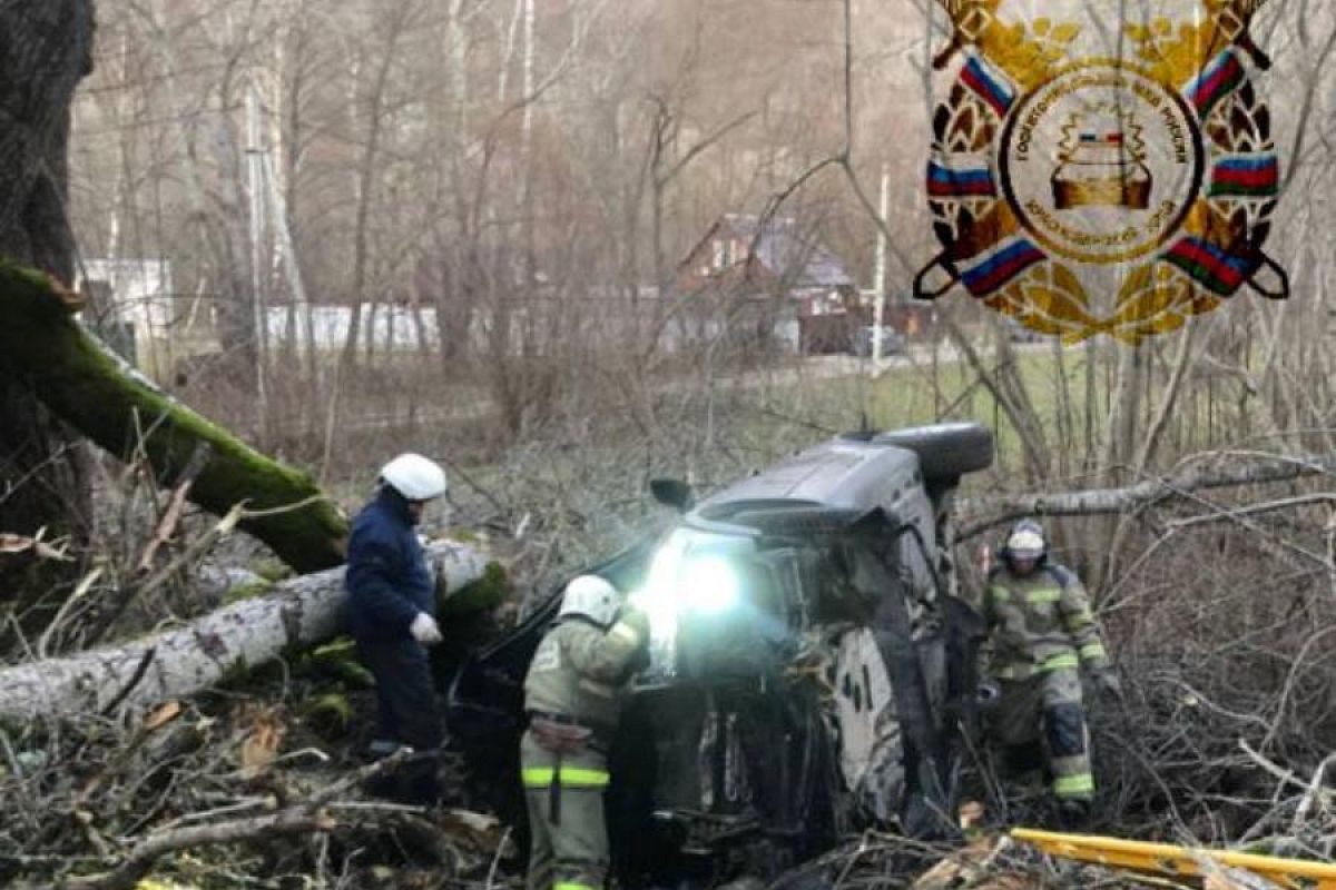 Пьяный водитель BMW врезался в дерево в Горячем Ключе. Погиб человек