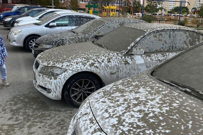 В Краснодаре припаркованные машины залило жидким строительным бетоном