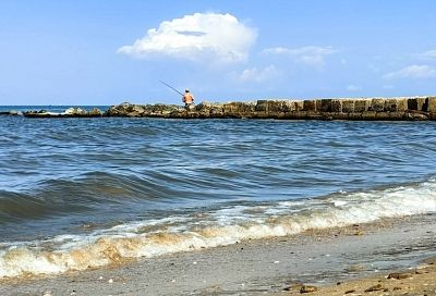 Восстановление популяции осетровых в Азовском море займет от пяти лет