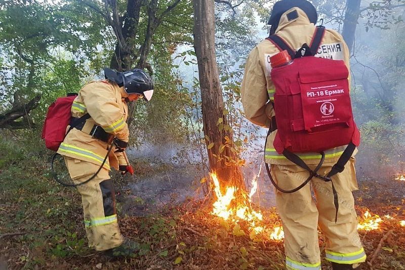 Пожарные потушили возгорание лесной подстилки
