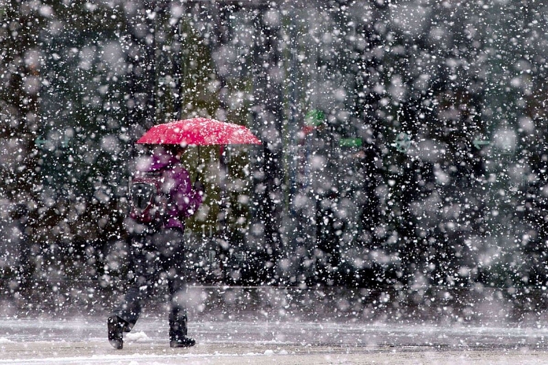 В Краснодаре ожидается дождь, мокрый снег и сильный ветер