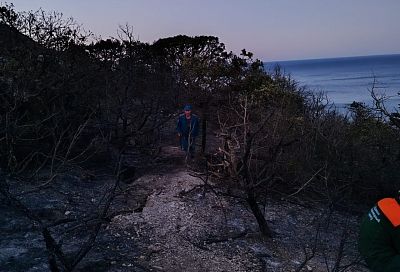 Лесной пожар потушили в Анапе