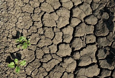 Зной, засуха и смерчи. Климатологи рассказали, каким будет лето в Краснодарском крае