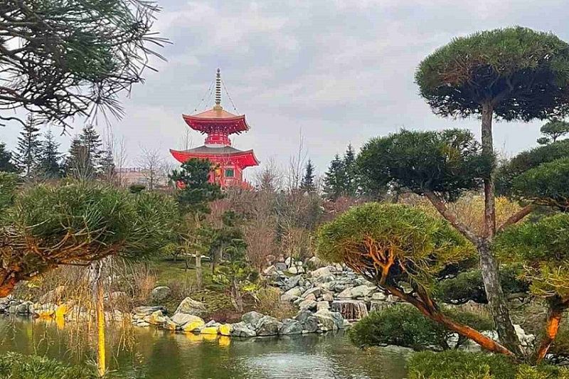 В Японский сад - по QR-коду: в парке Галицкого открыли новую локацию