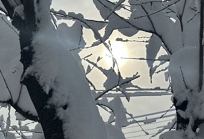 Морозы до -23 градусов и снегопады: зима в Краснодарском крае станет суровой