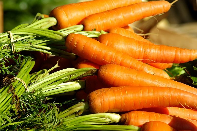 Ваши ноги спасет морковь: раскрыт простой рецепт их оздоровления в домашних условиях
