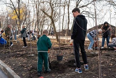 Фруктовый маршрут: DOGMA высадила плодовую аллею в микрорайоне Самолет