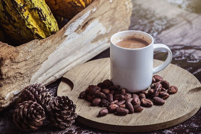 Ученые рассказали о неожиданной пользе какао