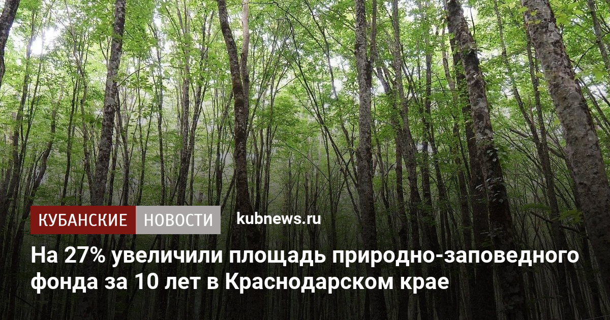 На 27% увеличили площадь природно-заповедного фонда за 10 лет в Краснодарском крае
