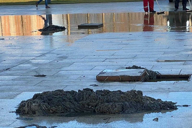 В Краснодаре у парка Галицкого снова забилась канализация