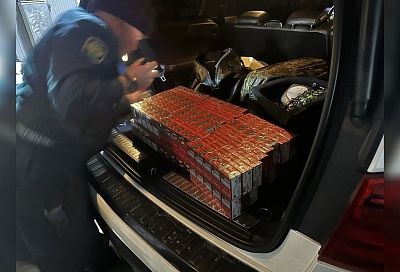 Партию контрабандных сигарет из Германии нашли таможенники в «Мерседесе» из Абхазии на границе с Сочи