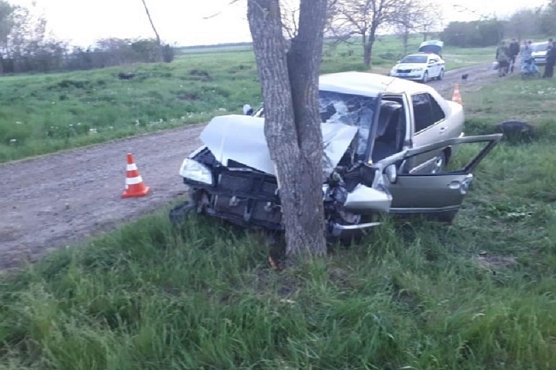 В Краснодарском крае пьяный водитель на иномарке врезался в дерево. Трое пострадали