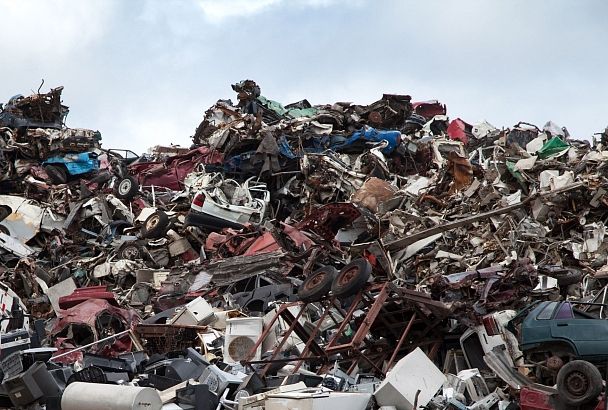 Нежеланные жильцы: какой вред может принести с собой скопление мусора