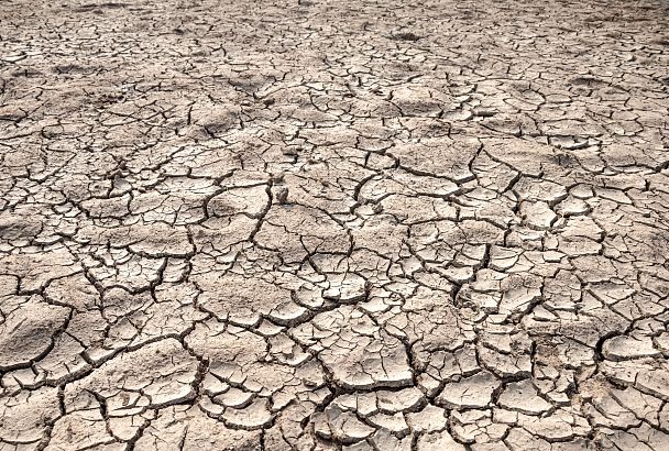 На юге России усилится жара и засушливость к середине века