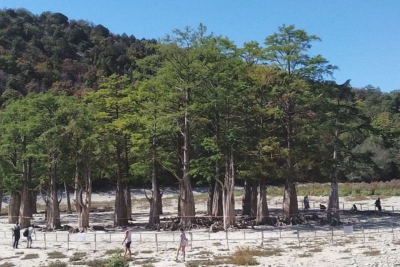 Вокруг пересохшего кипарисового озера в Анапе установили металлические ограждения