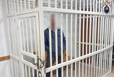 Суд арестовал жителя Сочи, выстрелившего из пневматики в подростка