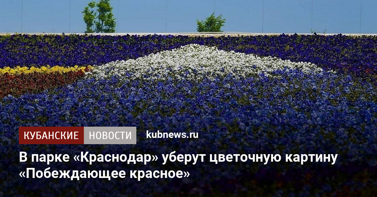 Убери цветочки. Картина «побеждающее красное» из 140 тысяч цветов размером с поле.