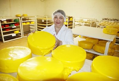 Кубань – кормилица: как пищевая промышленность продовольственную безопасность гарантирует