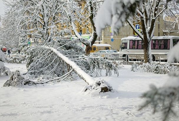 Электроснабжение почти для 114 тысяч человек восстановлено в Краснодарском крае