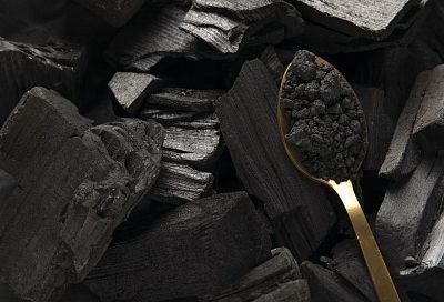 Древесный уголь или керамзит: что лучше для дренажа комнатных растений
