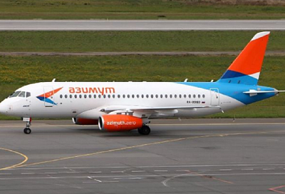 Самолет из Краснодара столкнулся при посадке с косулей в аэропорту Пскова 