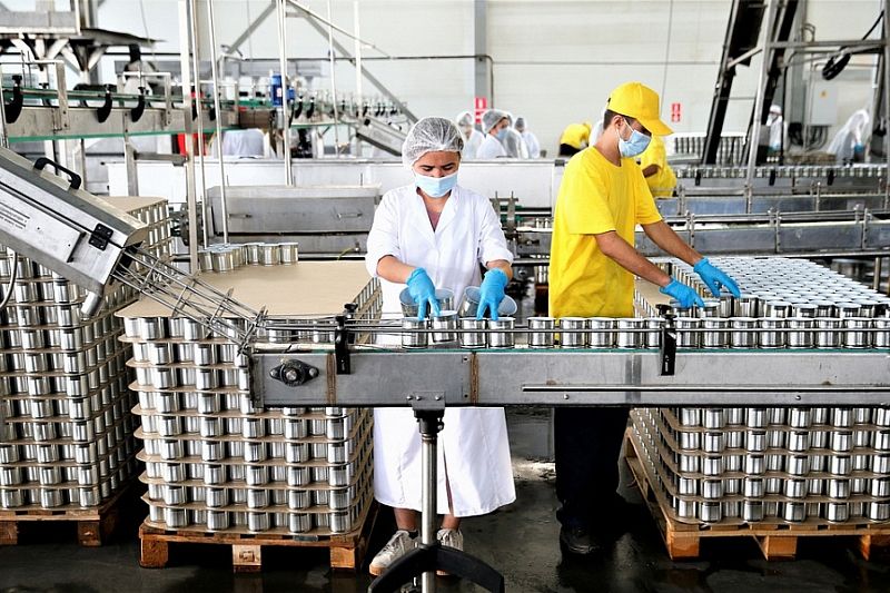 Благодаря нацпроекту на консервном предприятии Краснодара увеличилось производство 
