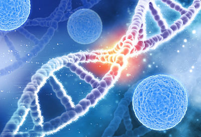 Российские учёные раскрыли новое свойство коротких молекул РНК, связанных с раком