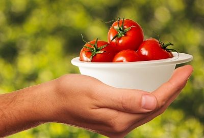 Ежедневное употребление помидоров - залог здоровья и долголетия