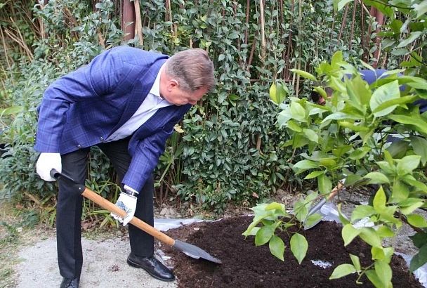 Игорь Бутман посадил апельсиновое дерево сорта «Дружба народов» в Сочинском институте РУДН