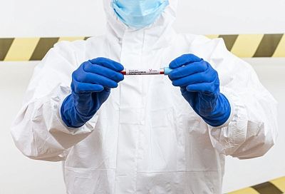 Эбола может добраться до Европы и ОАЭ за месяц — но паниковать рано