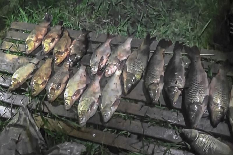 Росгвардейцы и полицейские задержали браконьеров за рыбалку на полмиллиона рублей